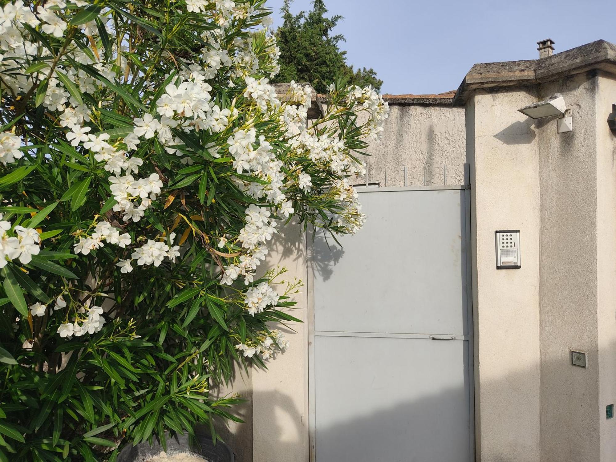 Appartement Velleron-4 Personnes מראה חיצוני תמונה